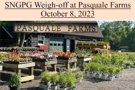 Pasquale Farm 2023