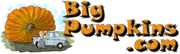 bigPumpkin.com